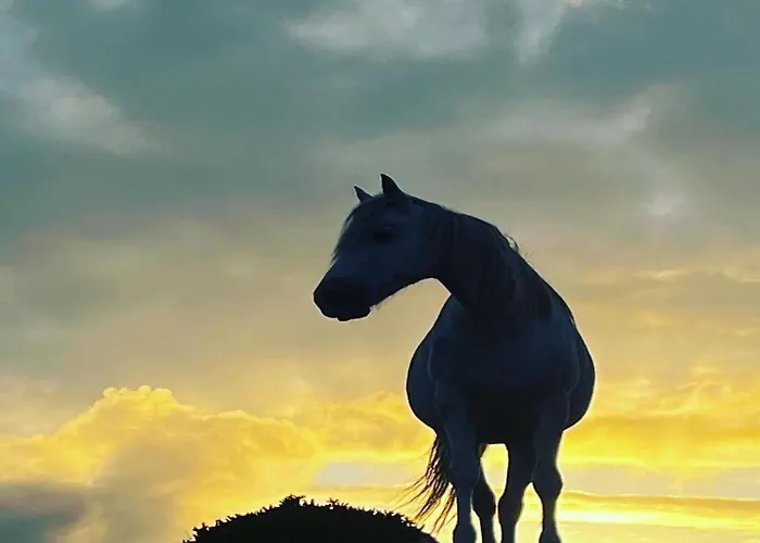 Little Tara, Балликоннили