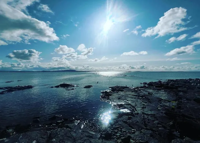 Little Tara, Дом отдыха *