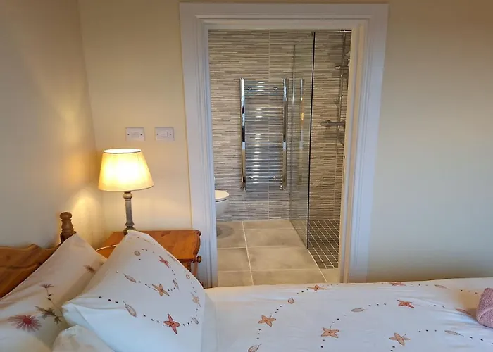 Little Tara, * Балликоннили