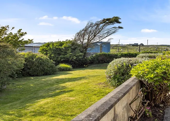 Tatil Evi Little Tara,