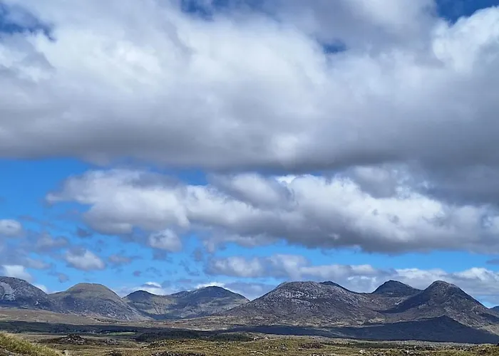 Little Tara, Tatil Evi